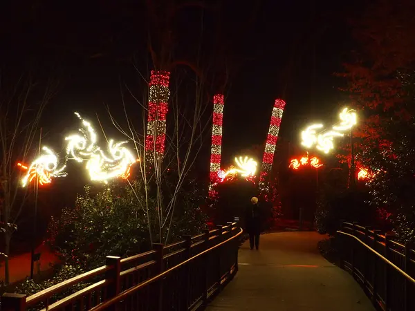 The Garden Lights
