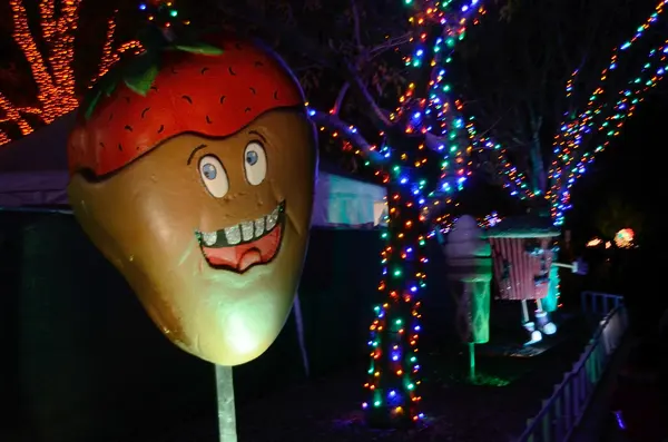 Zilker Park Trail of Lights