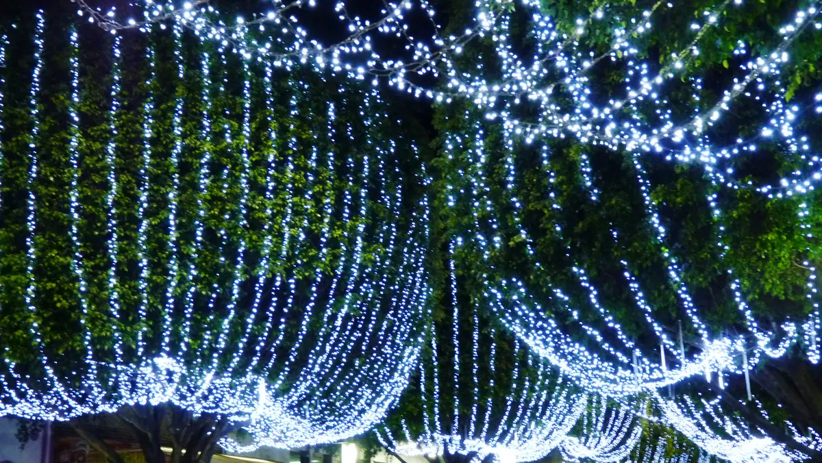 Cortinas de luzes brancas sobre as árvores no Natal de Poços de Caldas