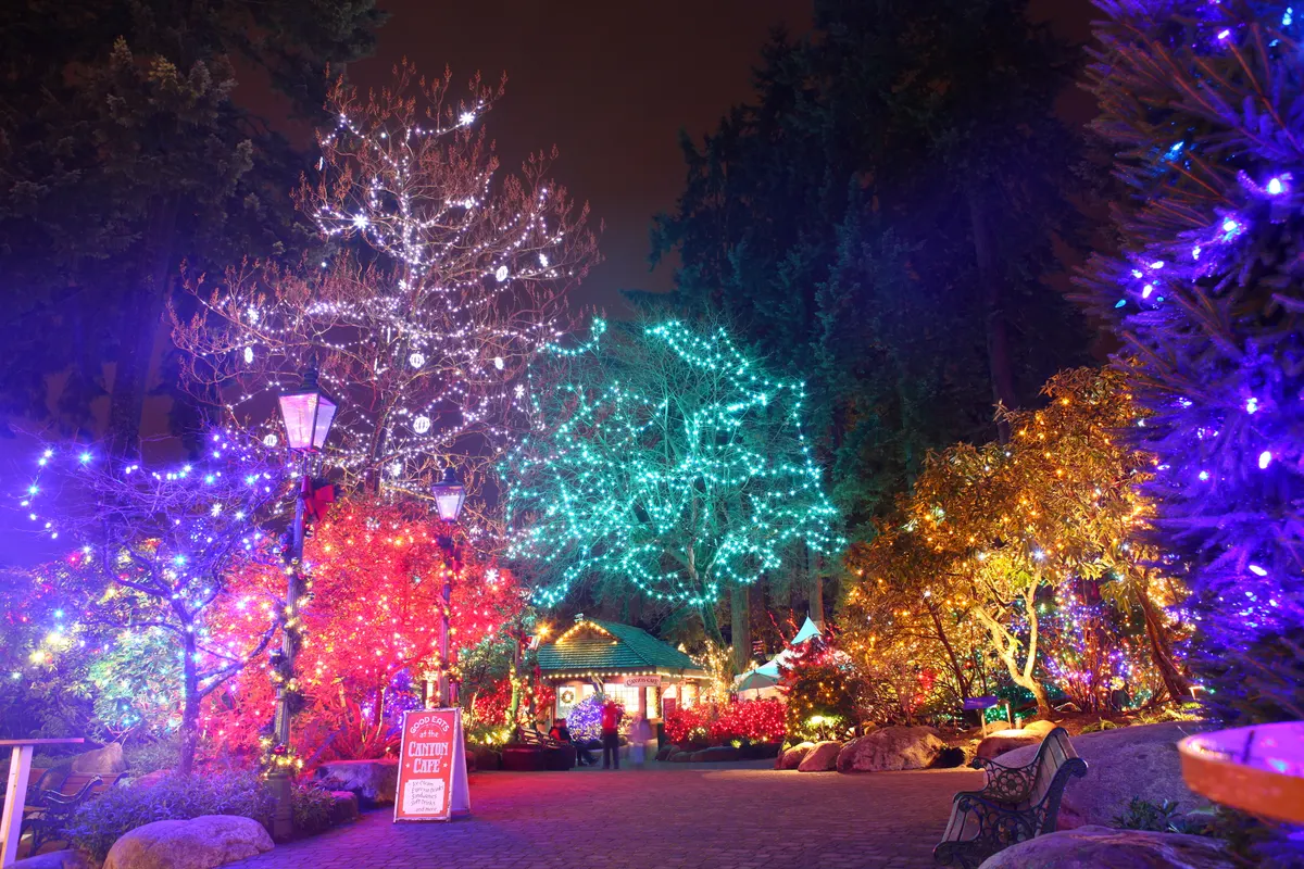 Canyon Lights at Capilano Suspension Bridge Park: coloured lights in the trees along the path