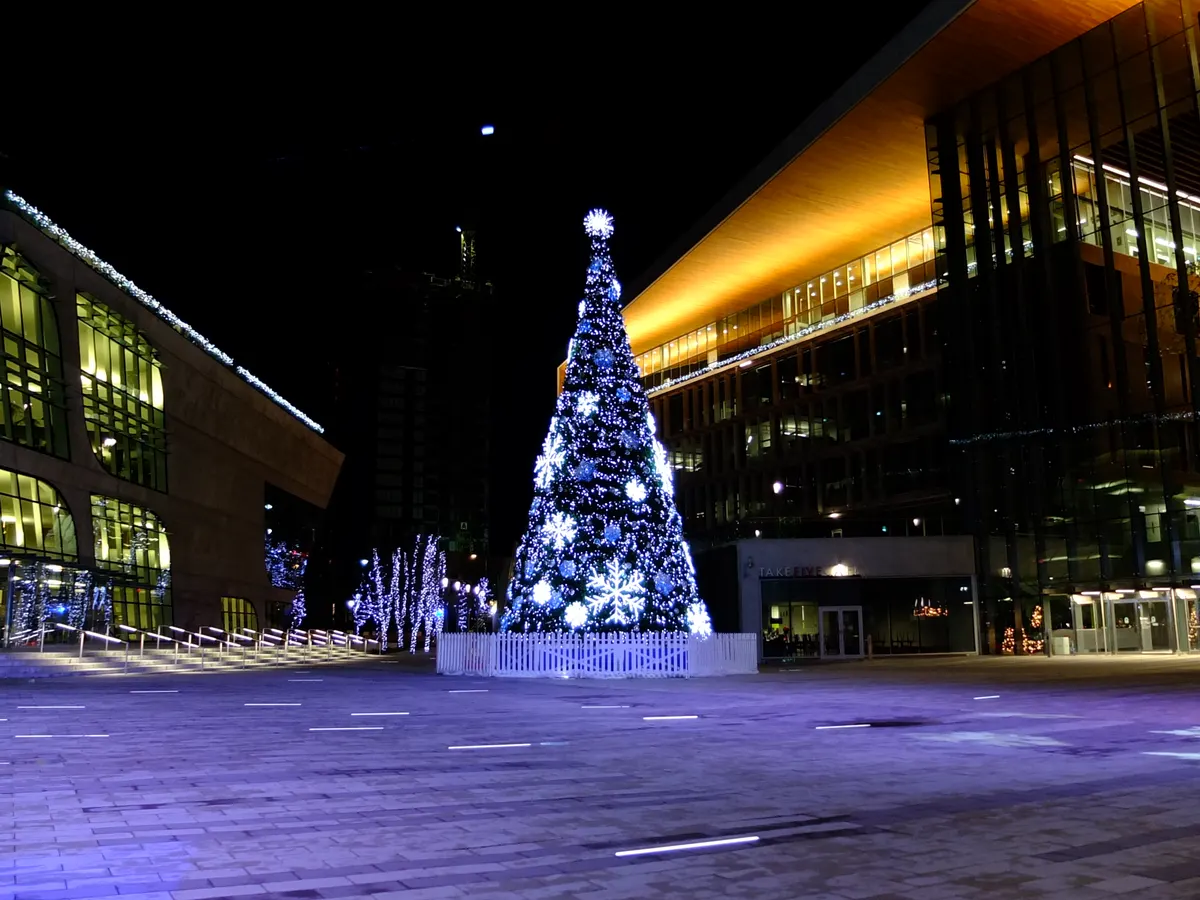 Lit Christmas tree on the plaza at Surrey City Hall at night