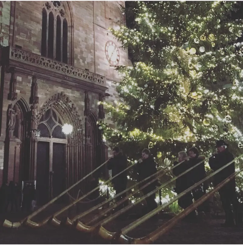 Weihnachtsbaum vor dem Basler Münster am Abend