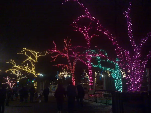 Zoolights