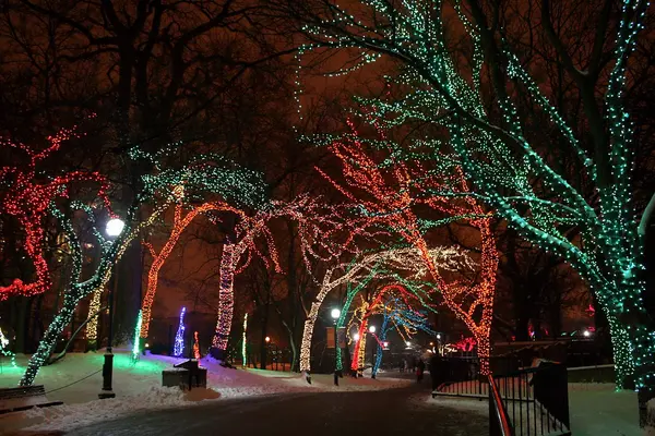 Lincoln Park Zoo Lights