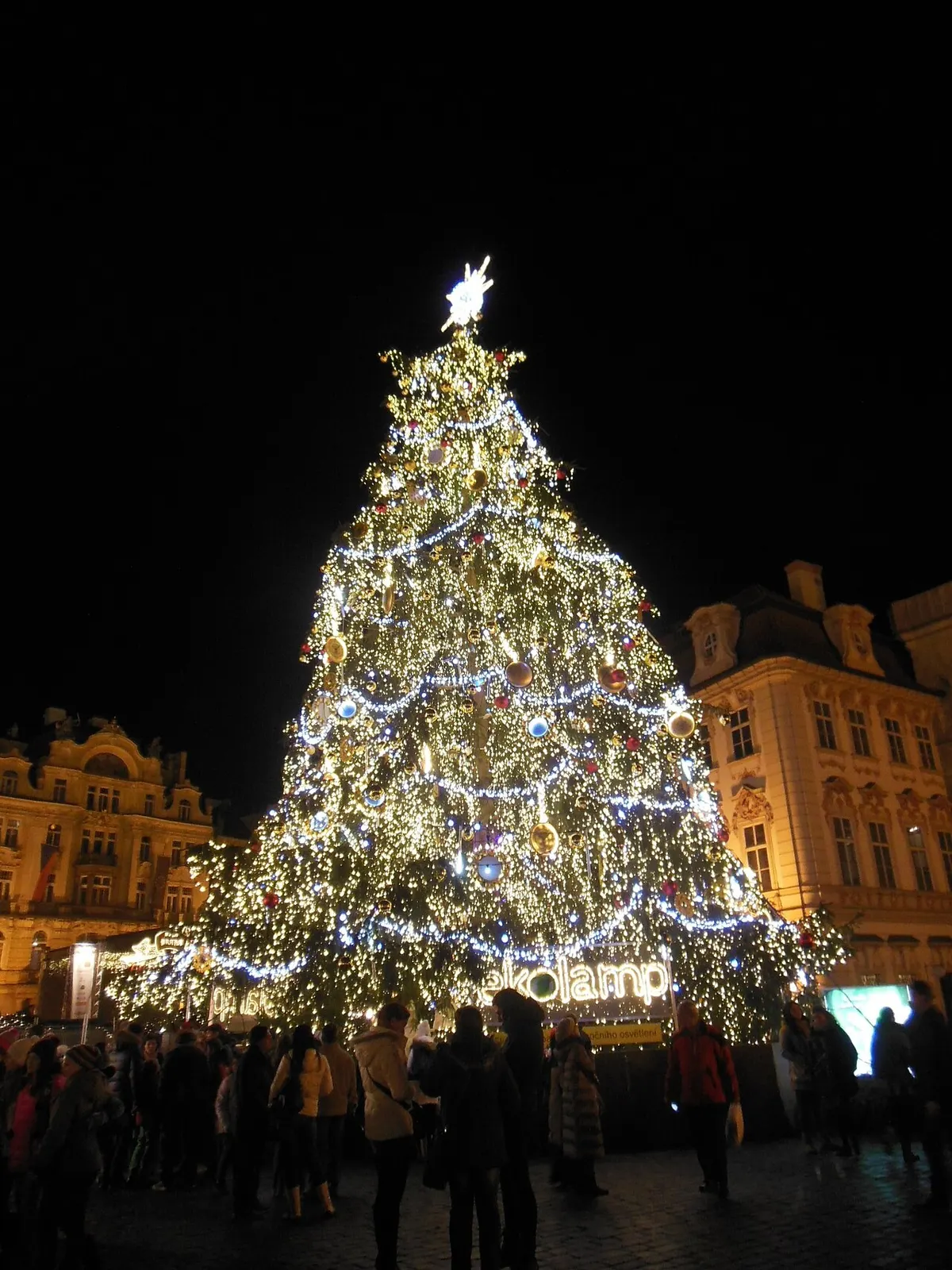 Osvětlený vánoční strom na Staroměstském náměstí v Praze v noci