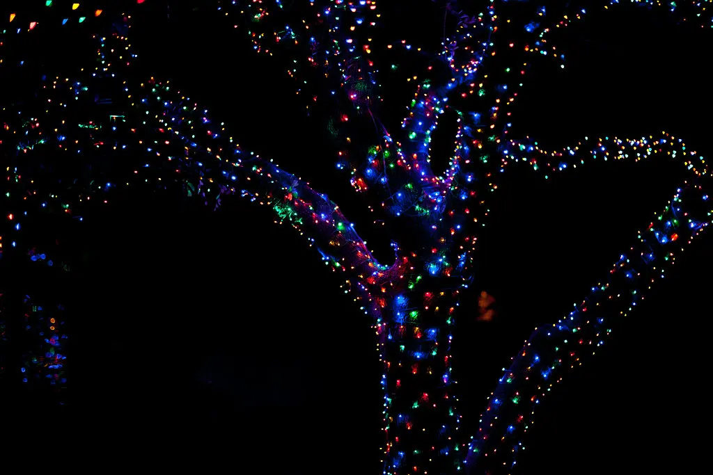 A tree covered entirely in white lights against the night sky