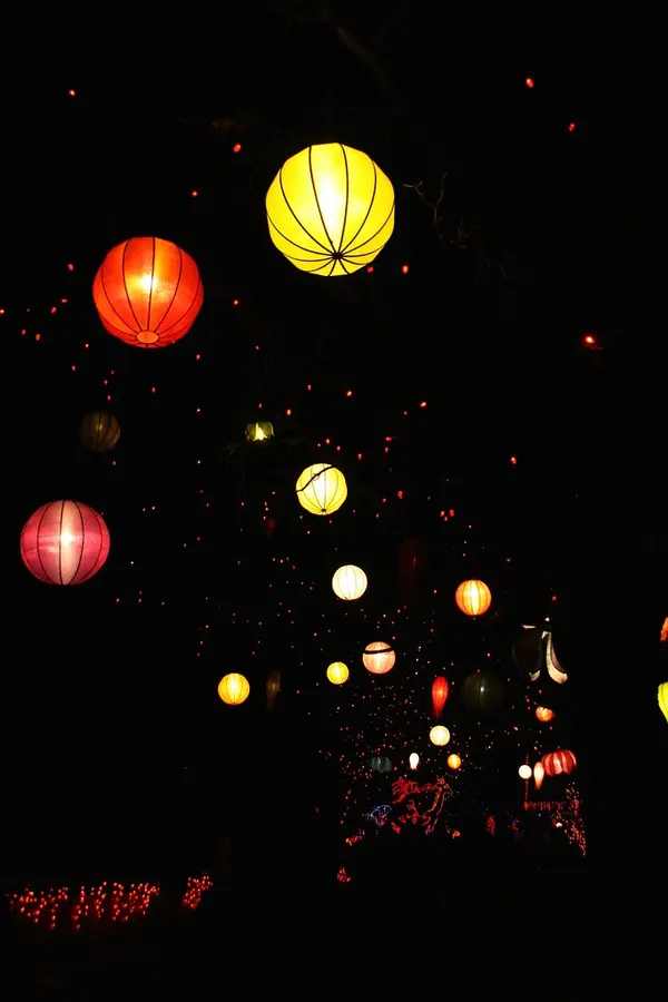 Denver Zoo Lights