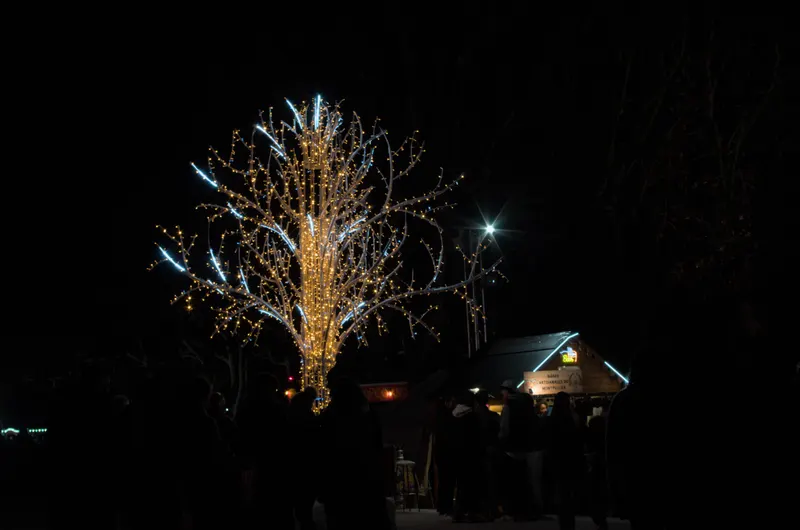 Arbre habillé de guirlandes lumineuses à Montpellier