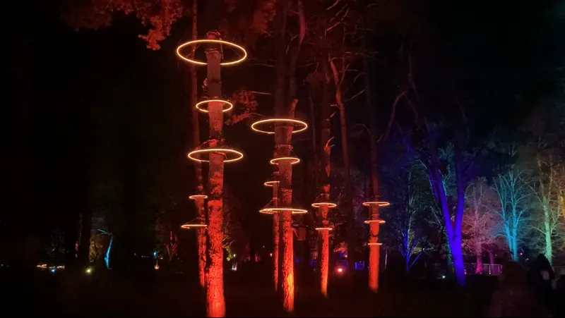 Glowing rings on trees at Christmas at Bute Park