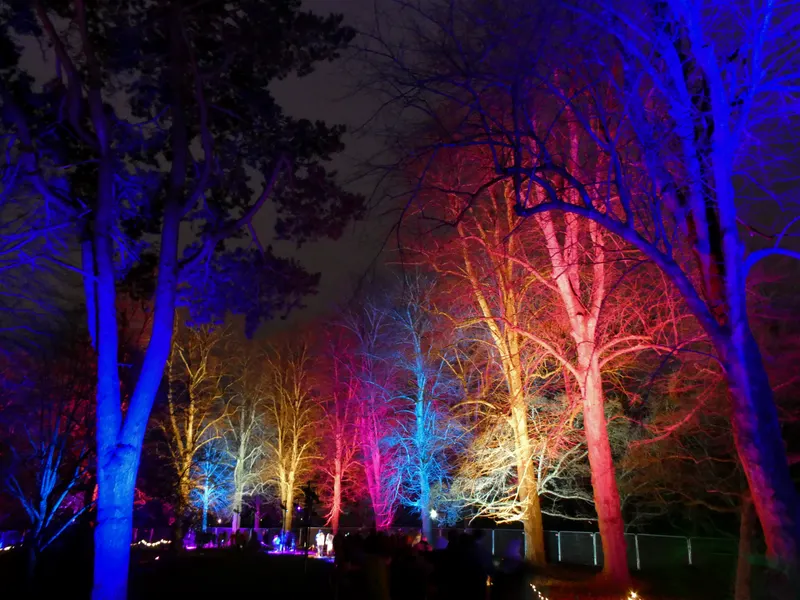 Colourfully lit trees at Christmas at Bute Park