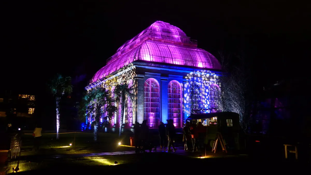 Palm House lit in purple at Christmas at the Botanics in Edinburgh