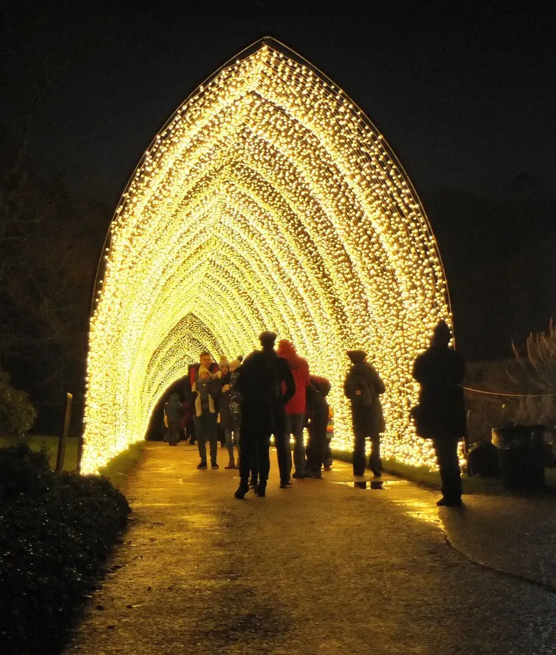 Cathedral of Light arch at Christmas at the Botanics