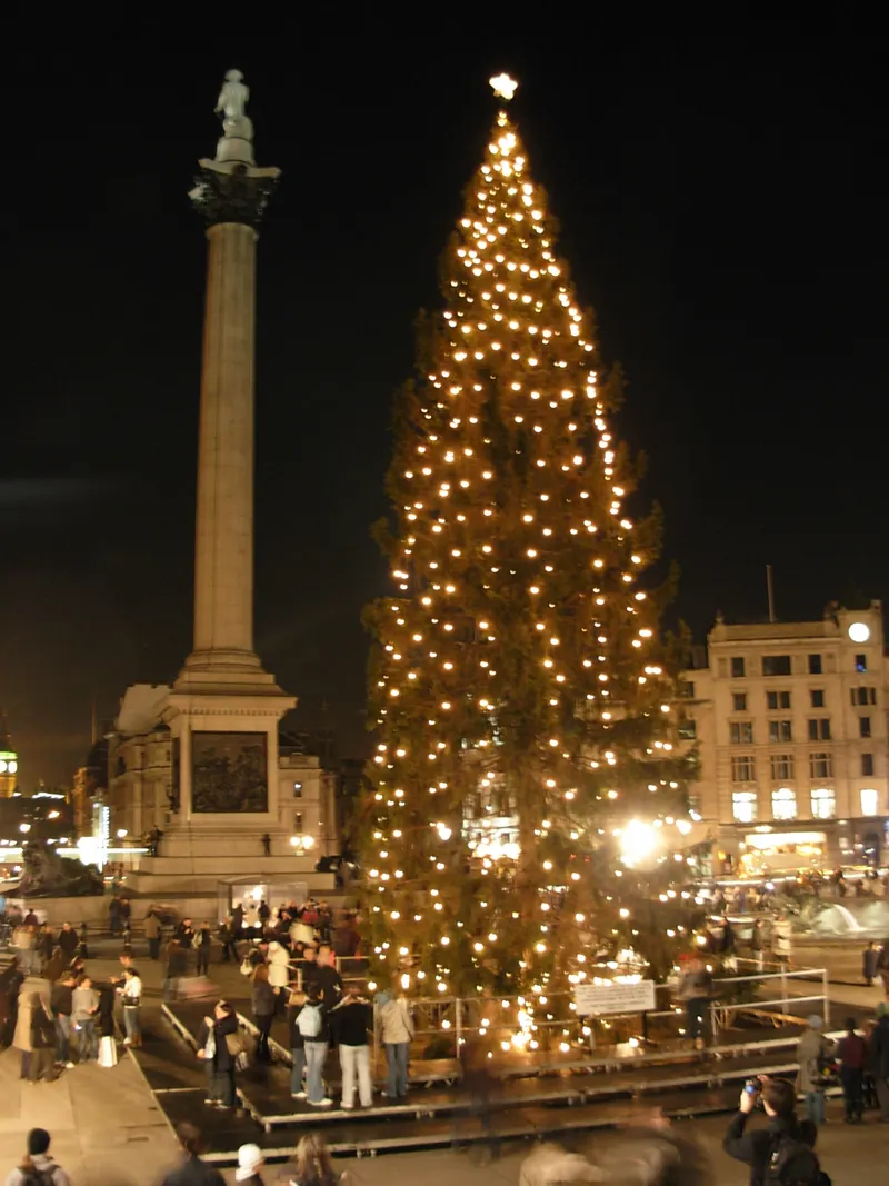 Glowing Christmas tree beside Nelson's Column in Trafalgar Square
