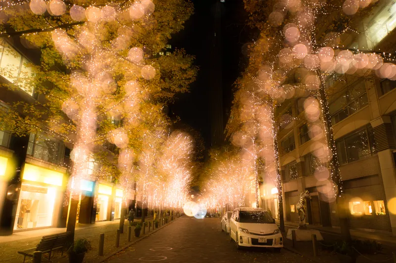 丸の内仲通りに続く光の並木道