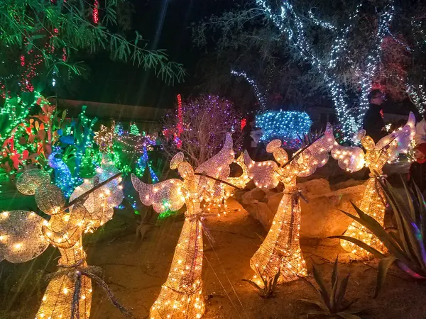 Ethel M Christmas cactus lights