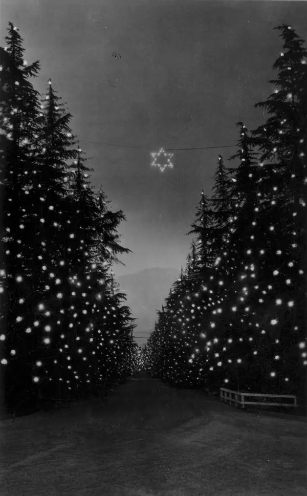 Christmas Tree Lane Altadena  W