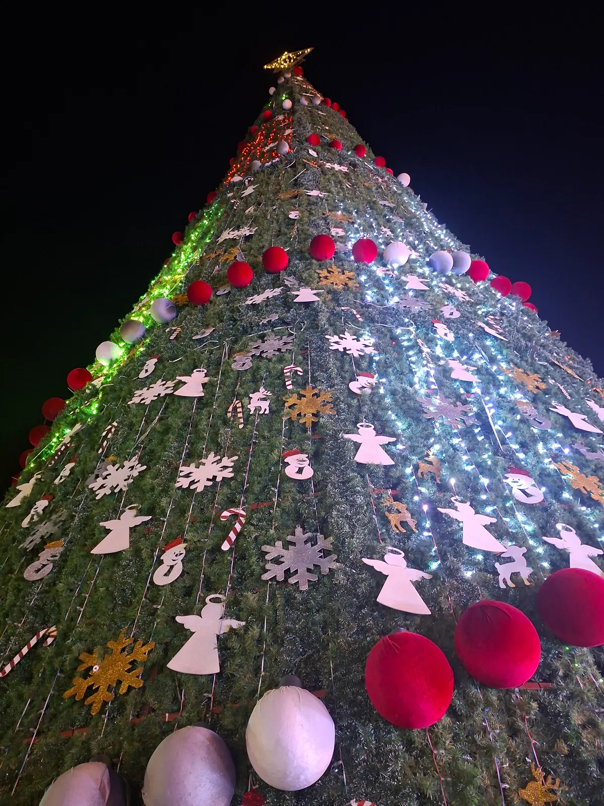 Árbol navideño iluminado de noche con adornos de ángeles en Zacatecas