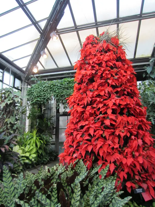Christmas at Longwood Gardens