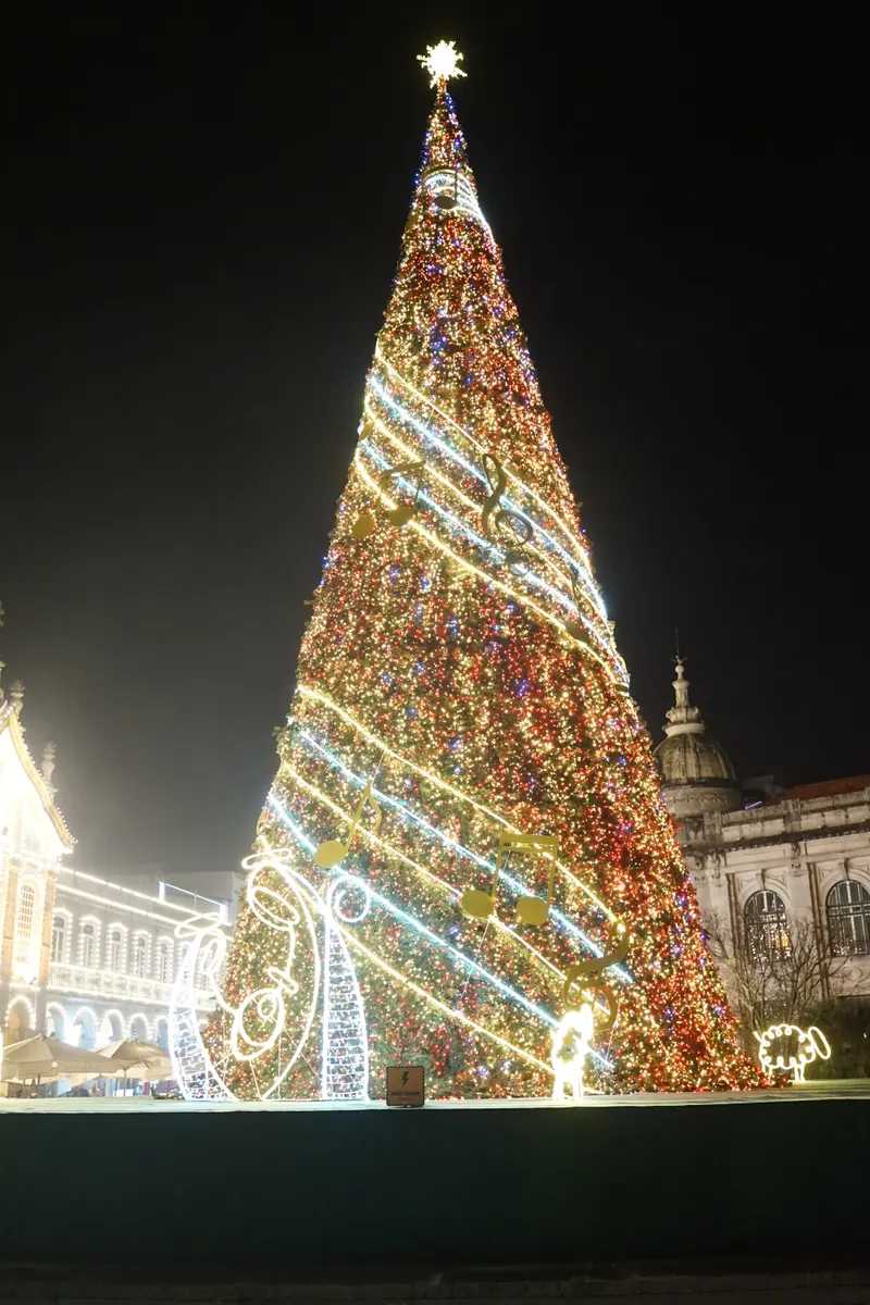 Árvore de Natal iluminada junto aos edifícios históricos de Braga