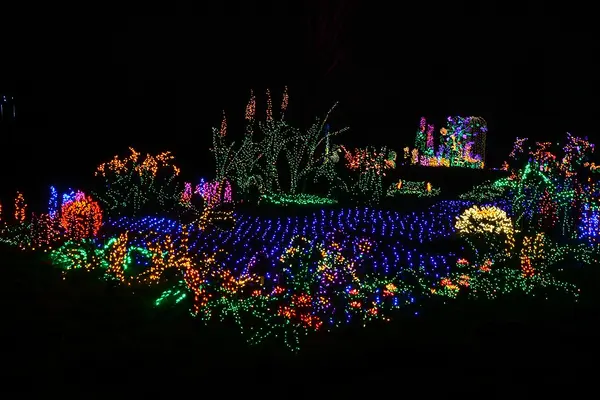 Garden D'lights