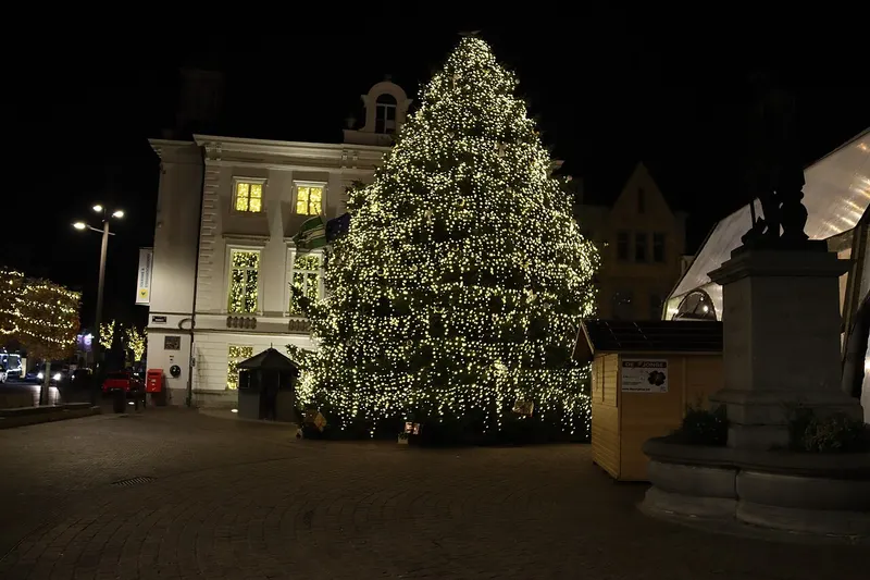 De grote kerstboom op de markt van Zottegem bij nacht