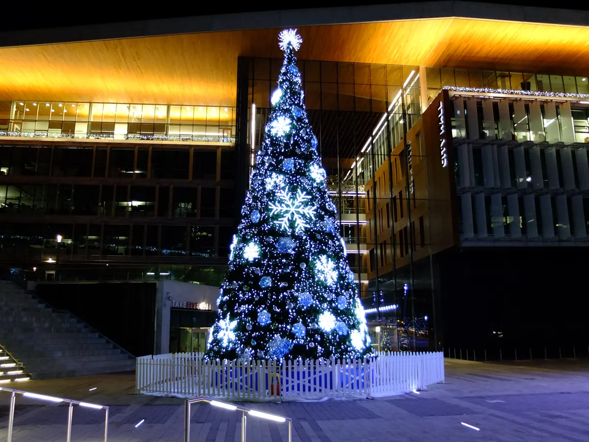 Lit Christmas tree in front of Surrey City Hall at night