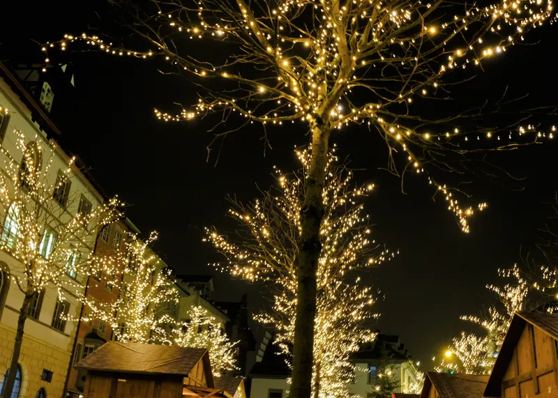 Beleuchtete Bäume und Marktbuden in der Schaffhauser Altstadt