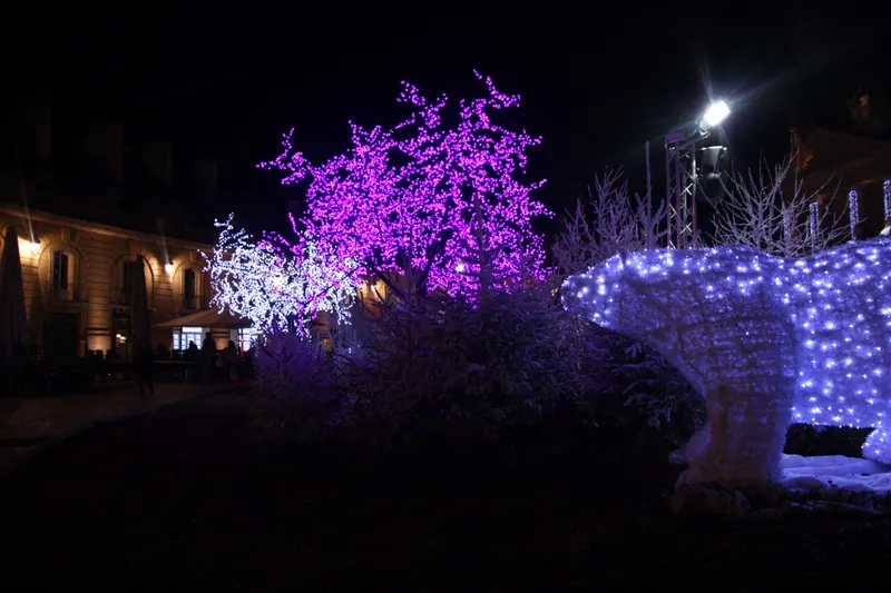 Arbres et décors lumineux violets pour Noël à Dijon