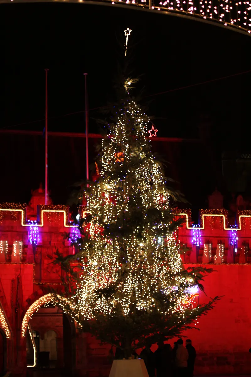Sapin de Noël public illuminé devant les façades de La Rochelle