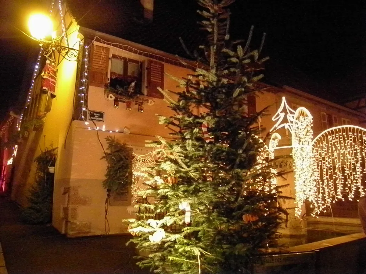 Sapin de Noël illuminé dans une rue d'Orschwiller de nuit