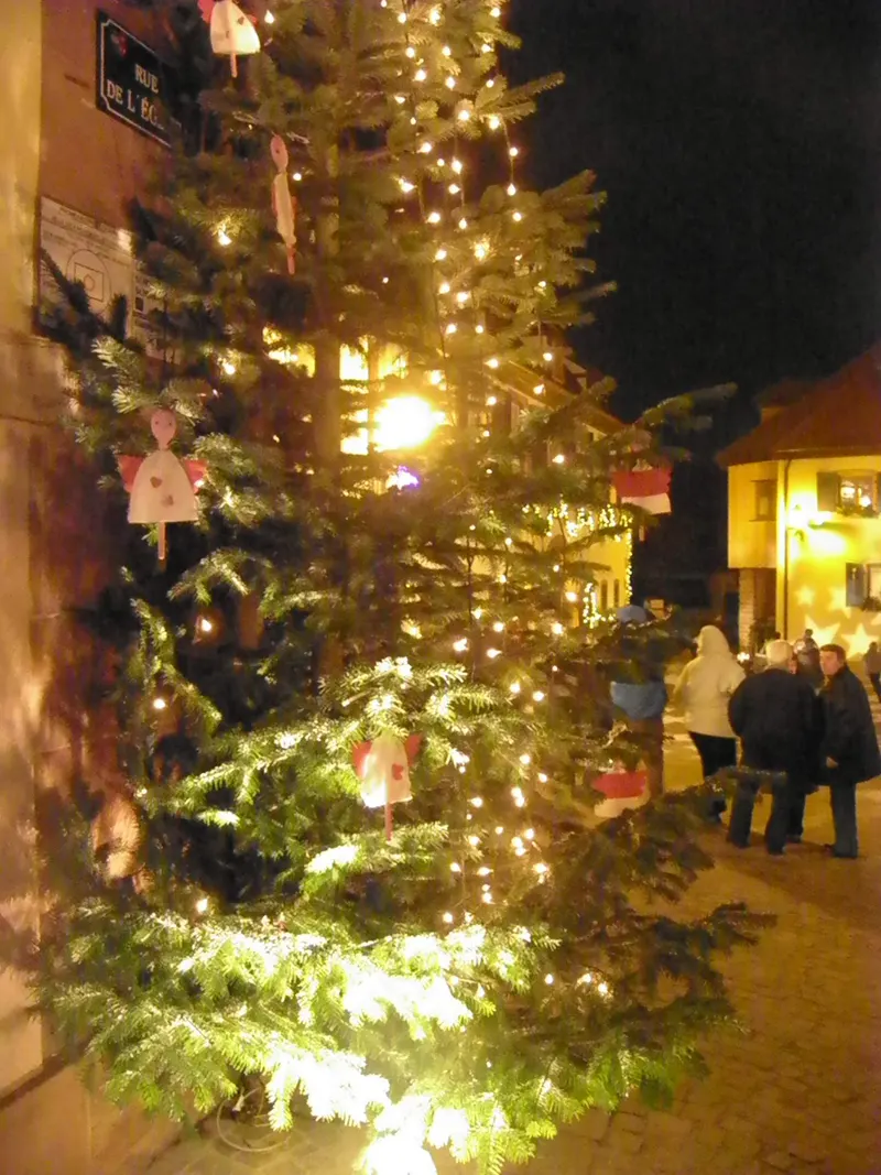 Sapin et guirlandes lumineuses devant une maison d'Orschwiller à Noël