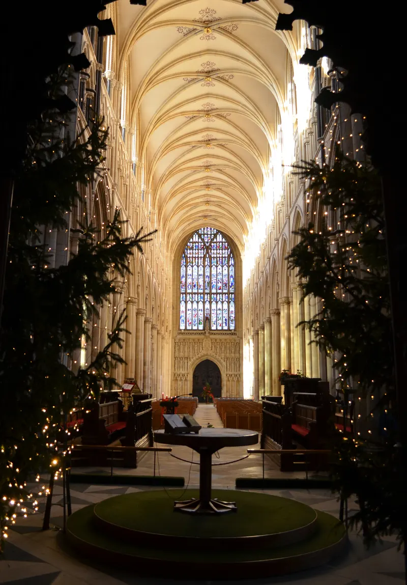 Christmas trees inside Beverley Minster