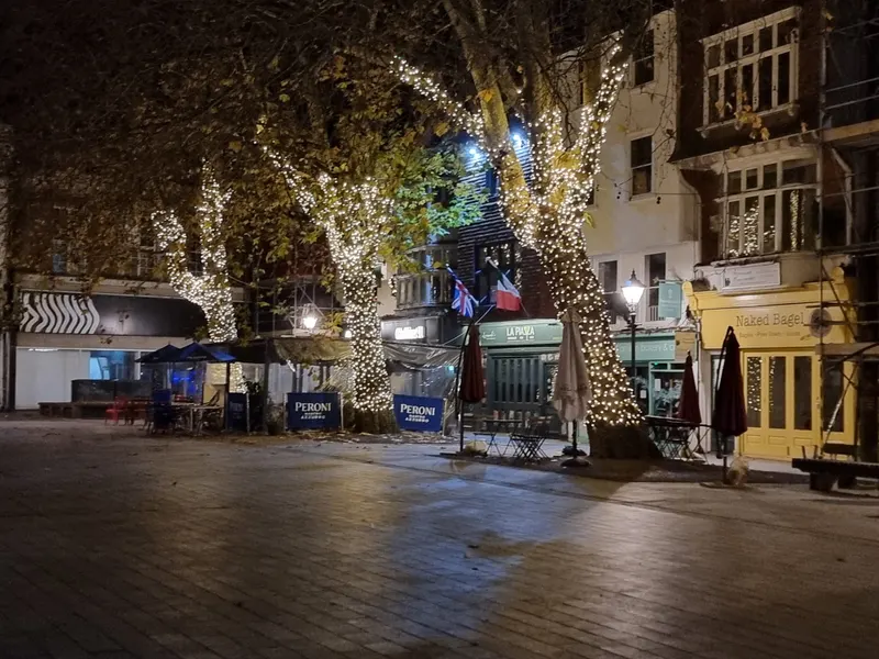 Salisbury Market Square at night with lit trees