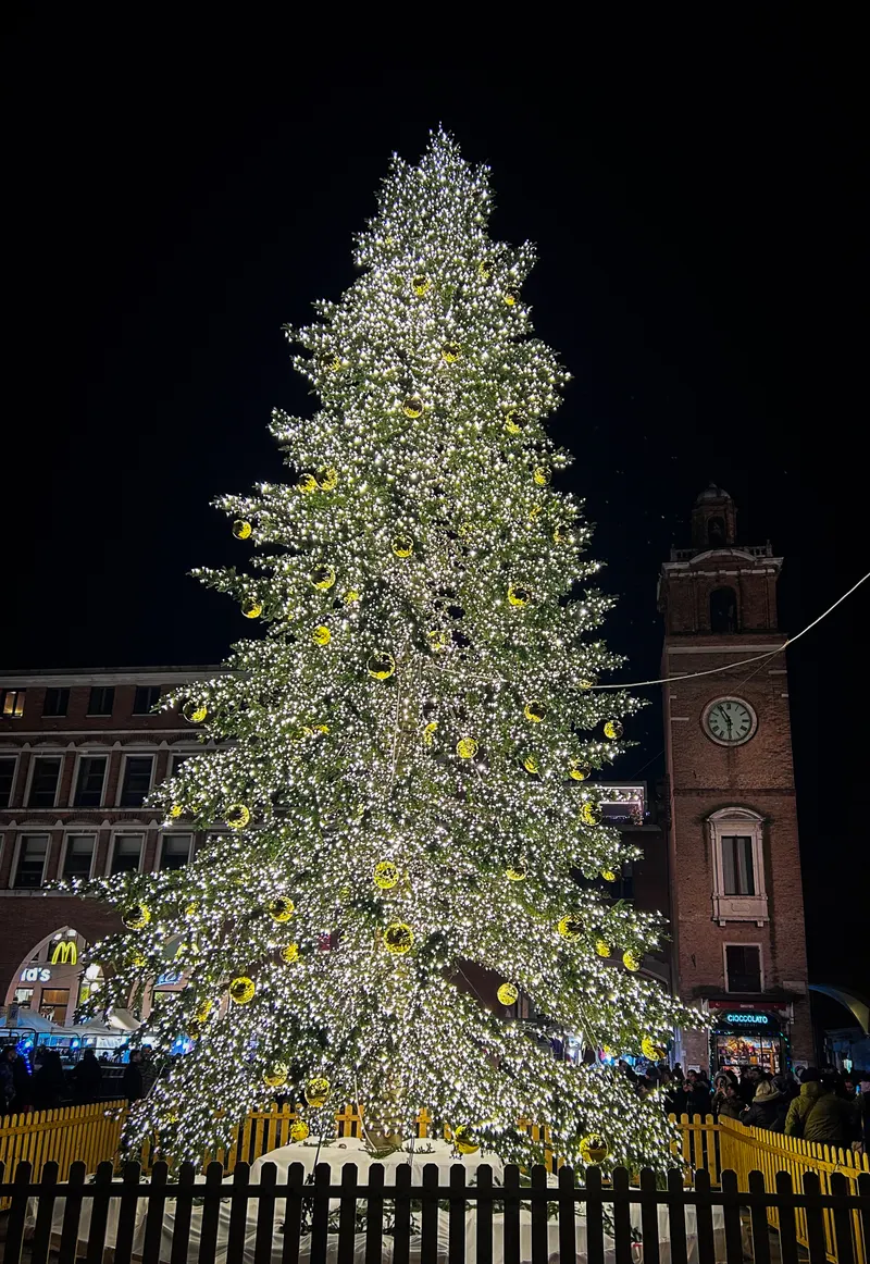 Albero di Natale 2023 in piazza della Cattedrale a Ferrara
