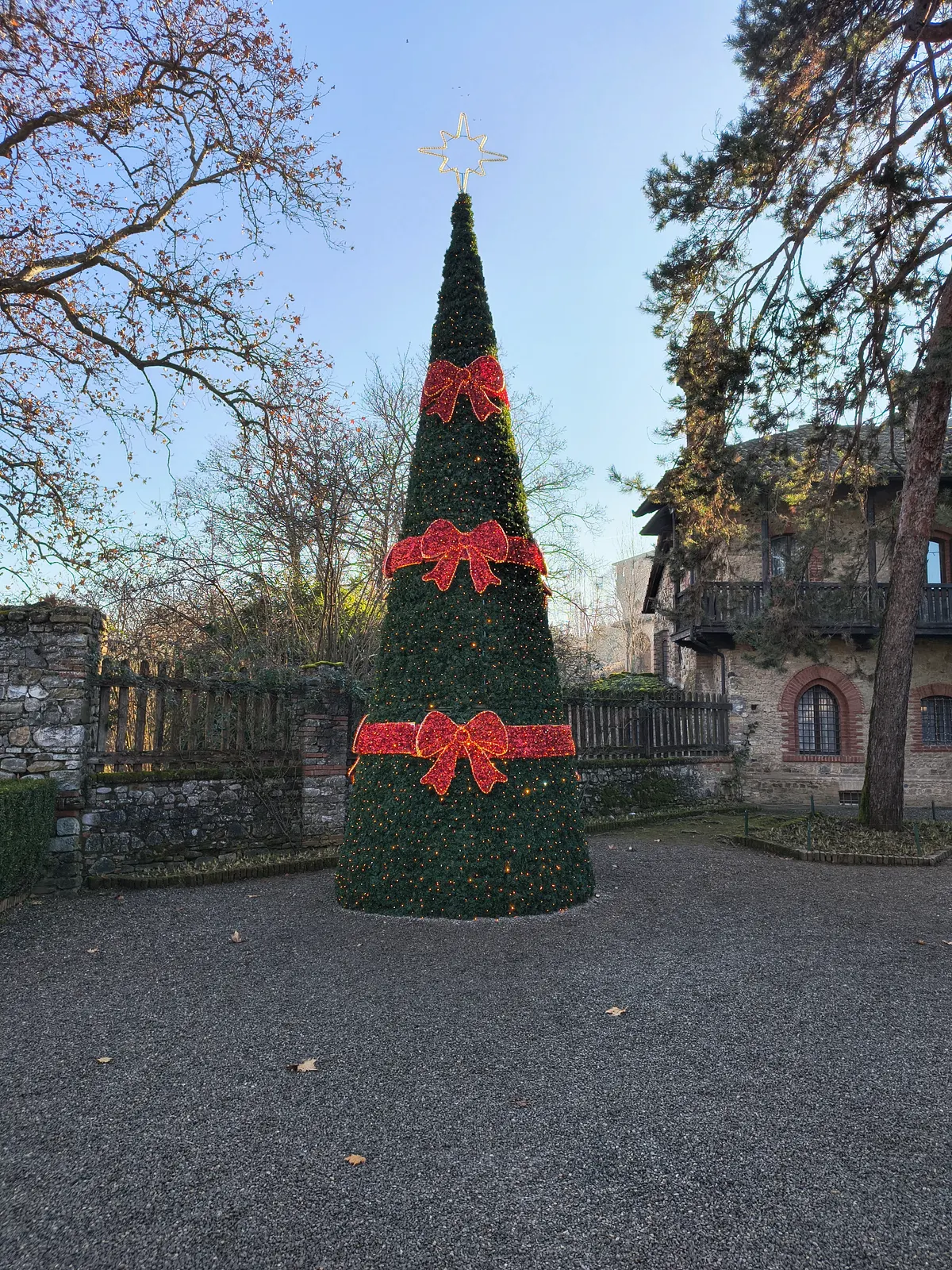 Albero di Natale con fiocchi rossi luminosi a Grazzano Visconti