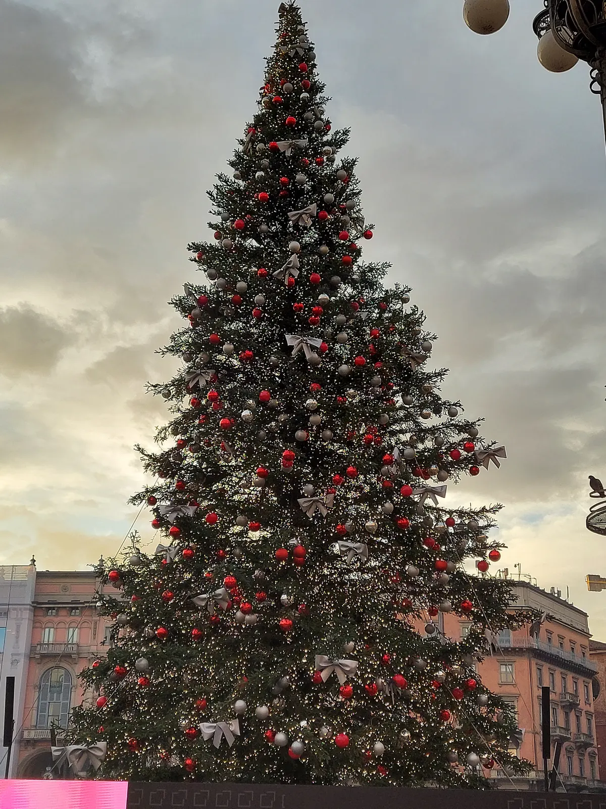 L'albero di Natale in Piazza Duomo a Milano (2021)