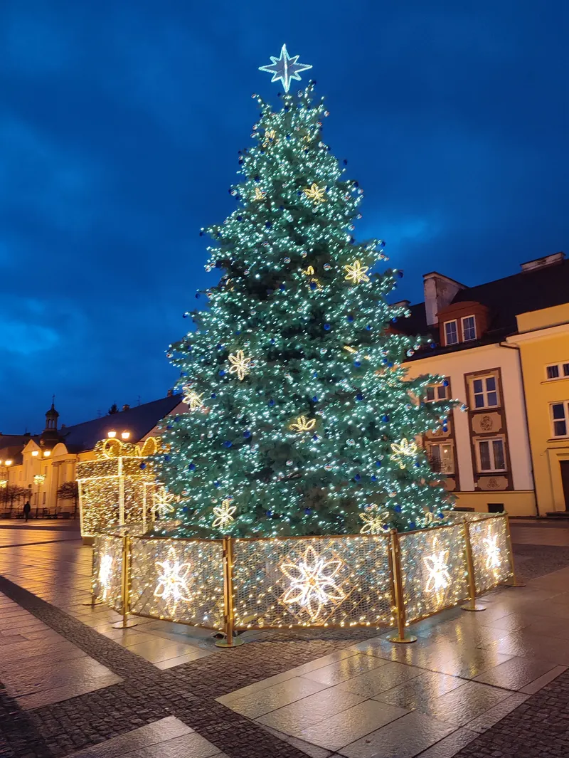 Wielka choinka z gwiazdami przy kamienicach Rynku Kościuszki