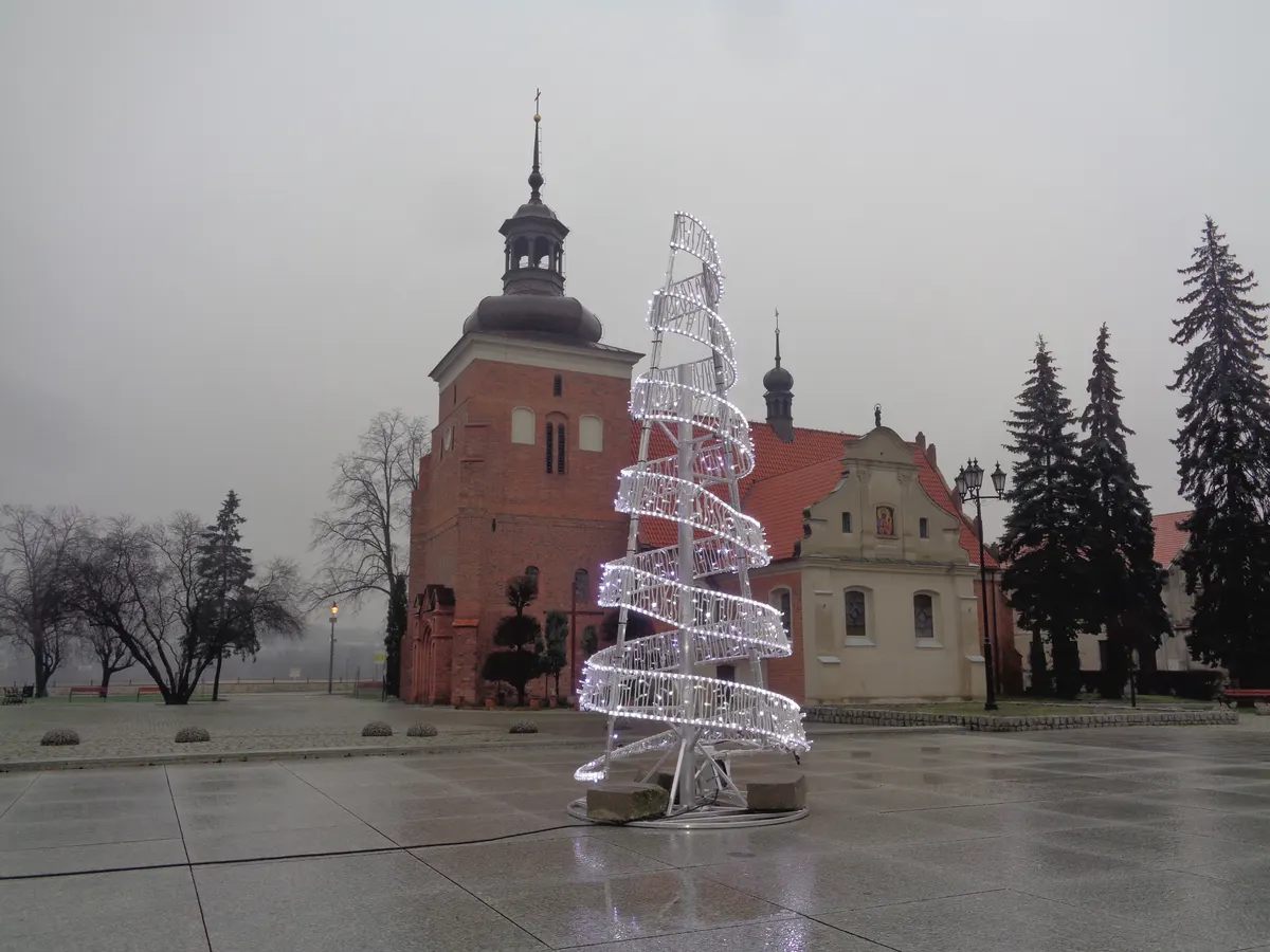 Świetlna choinka na Starym Rynku we Włocławku