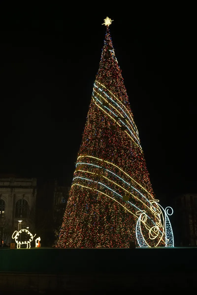 Árvore de Natal iluminada em Braga