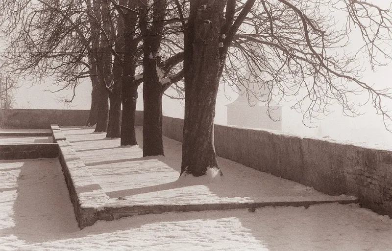 Arhivski posnetek: zimsko jutro na Ptujskem gradu, 1961